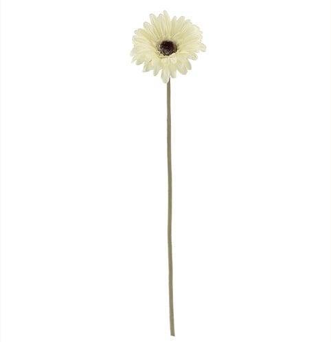 Gerbera 53 cm Creme Zijden bloemen / st, Huis en Inrichting, Woonaccessoires | Kunstplanten en Kunstbloemen, Nieuw