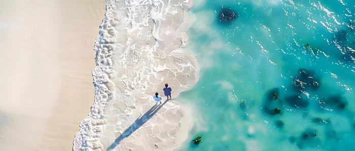 Aurélie Lafourcade - Promenade - Limited deluxe edition, Antiquités & Art, Art | Objets design