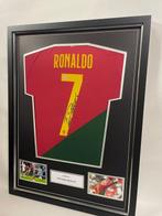 Portugeese voetbalcompetitie - Kampioenschaps voetbal, Verzamelen, Nieuw