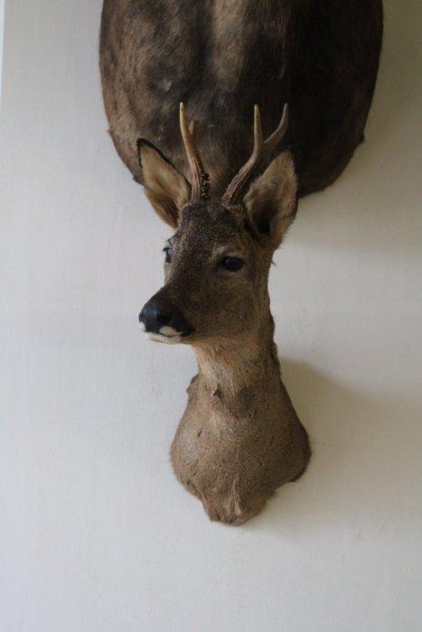 Jachttrofee, Antiek en Kunst, Curiosa en Brocante