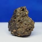 ZELDZAME METEORIET CR2 -Koolstofchondriet- ERG CHECH 003, Verzamelen