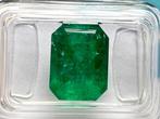 Groen Smaragd - 4.55 ct, Nieuw
