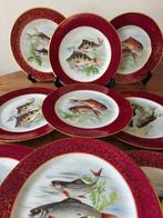 Service à poisson (13) - Porcelaine - Service de poisson à