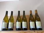 2023 x2 Vieris, 2023 x2 Piere & 2023 x2 Chardonnay, Vie di, Verzamelen, Nieuw