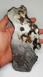 Seymchan XXL-meteoriet Steenijzer meteoriet - 442 g