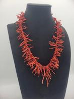 Bloedkoraal Koraal - Corallo Mediterraneo (Zonder