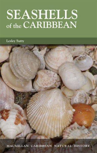 Seashells Of The Caribbean (Macmillan Caribbean Natural, Livres, Livres Autre, Envoi