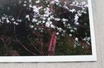 Mariska Karto - Magnolias in sunset, Antiek en Kunst, Kunst | Schilderijen | Modern