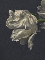 Ursula van de Bunte - Just the two of us