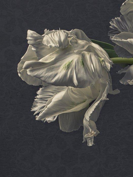 Ursula van de Bunte - Just the two of us, Antiquités & Art, Art | Objets design