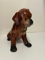 St. Clément - sculptuur, Chien - 25 cm - Glazuurde keramiek, Antiek en Kunst, Antiek | Glaswerk en Kristal
