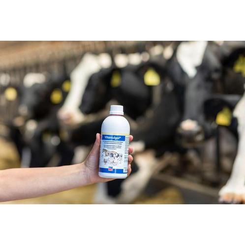 Vitamulgol liquid 500ml - kerbl, Dieren en Toebehoren, Stalling en Weidegang