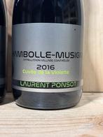 2016 Laurent Ponsot - Chambolle Musigny - 2 Flessen (0.75, Collections