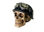 Veiling - Biker Skull | Decoratieve Schedel met Helm & Bril, Nieuw