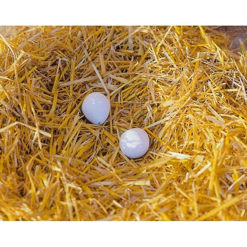 Nesteieren van klei v. kippen (2 st./blister) - kerbl, Dieren en Toebehoren, Pluimvee | Toebehoren, Nieuw