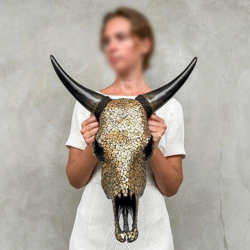PAS DE PRIX DE RÉSERVE - Superbe crâne de vache avec, Antiek en Kunst, Kunst | Designobjecten