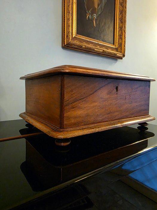 Doos - Walnoot - Groot in massief walnoot, Antiek en Kunst, Curiosa en Brocante