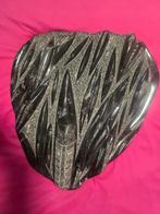 Vis - Fossiele sterfteplaat - 48 cm - 52 cm, Verzamelen