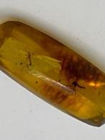 Amber - Barnsteen - 20.1 mm - 7.1 mm  (Zonder Minimumprijs)