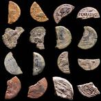 Spaans. lot comprising 8 Ibero-Roman bronzes fractions