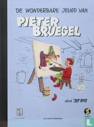 De wonderbare jeugd van Pieter Bruegel - 2003, Boeken, Stripverhalen, Zo goed als nieuw, Eén stripboek, Verzenden