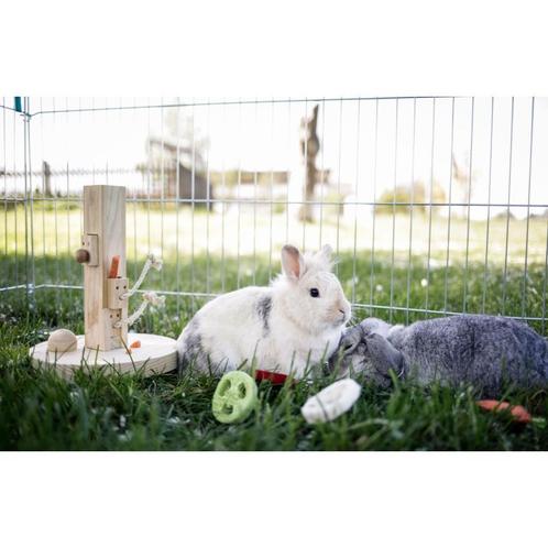 Denk- en leerspeelgoed knaag- dieren feedtree 25x25x30cm -, Dieren en Toebehoren, Knaagdieren en Konijnen | Toebehoren, Nieuw