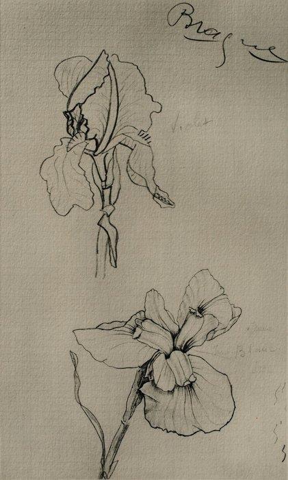 Georges Braque (1882-1963) - Les Iris, Antiek en Kunst, Antiek | Overige Antiek