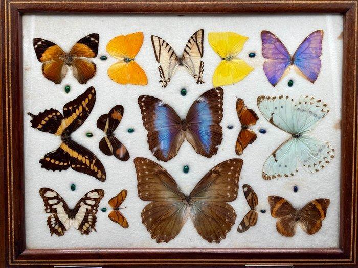 Artefama - Dienblad - Glas, Hout - 51 centimeters lang, Antiek en Kunst, Antiek | Keukengerei