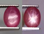 Pas de prix de réserve : Rubis Étoile de 7,57 carats . -