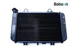 Radiateur BMW G 310 GS 2017-2019 (G310GS K02) (8558350)