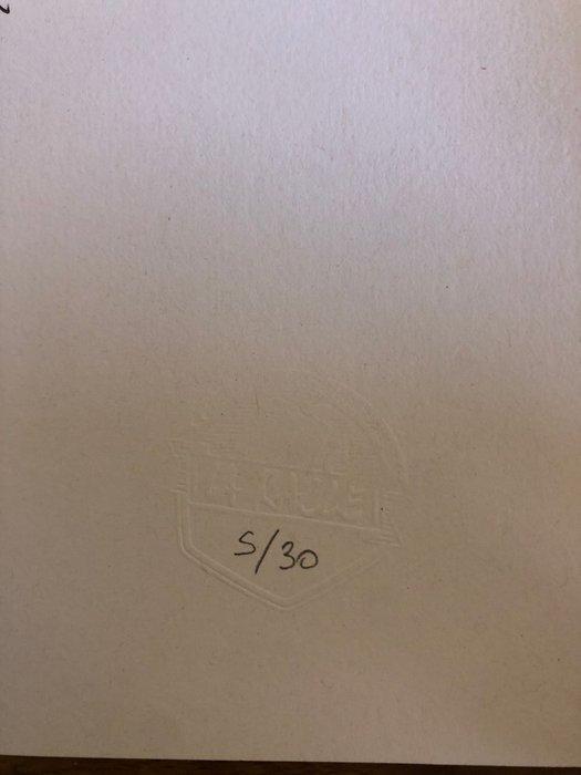 Le Roux, Etienne - Sérigraphie numérotée et signée, Livres, BD