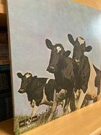 Pink Floyd - Atom Heart Mother - Japan Red Vinyl rarity -