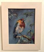 H.M.Bergen (1945) - Roodborstje