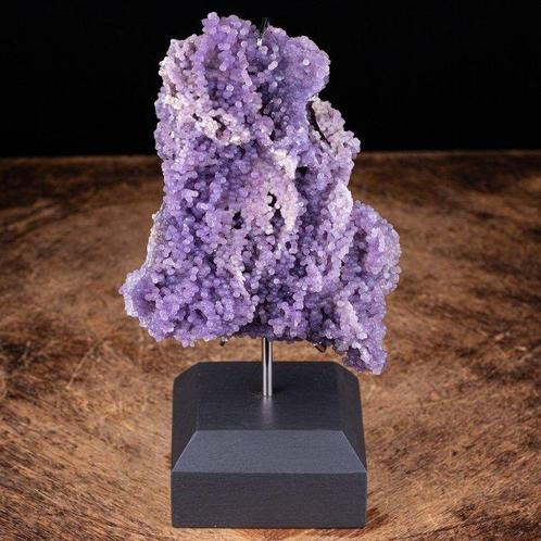 Agate de raisin Batu Manakarra Chalcedoine botroïde -, Verzamelen, Dierenverzamelingen