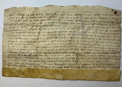Grant of John 'de Chastilon' Lord of Thoraton - Latin