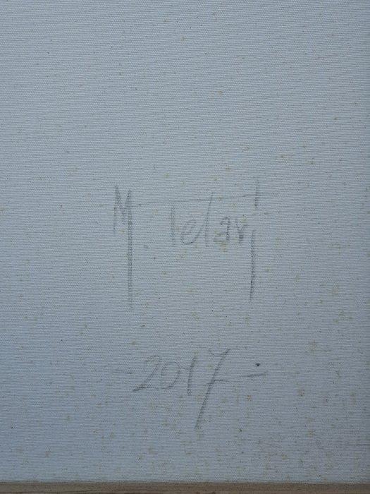 Michele Telari - The Mexican wall - XXL, Antiek en Kunst, Kunst | Schilderijen | Modern