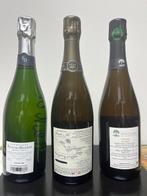 2019 Bereche&Fils; Francois Diligent; Domaine Lagille, Rive, Nieuw