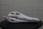 Large Nile Crocodile Schedel - Crocodylus niloticus (with, Verzamelen, Dierenverzamelingen, Nieuw