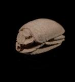 Oud-Egyptisch Enorm Egyptisch hartscarabee-amulet - 2.2 cm