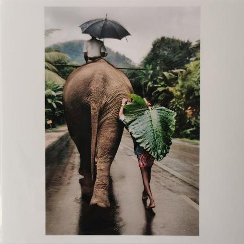 Signed - Steve Mccurry - Sri Lanka, 1995, Antiek en Kunst, Kunst | Schilderijen | Modern