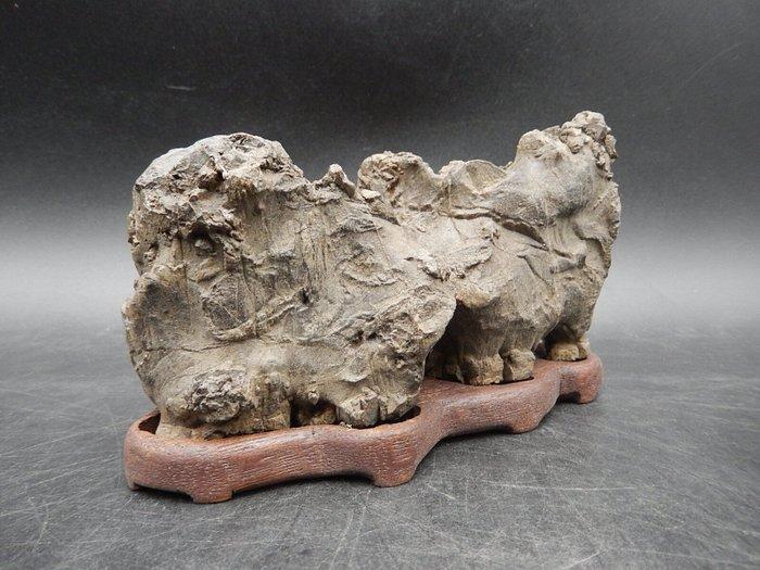 Steen - Watersteen, natuurlijke steen, decoratieve steen,, Antiek en Kunst, Antiek | Overige Antiek