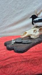 Pie - Cerf élaphe Taxidermie wandmontage - Pica Pica -, Verzamelen, Nieuw