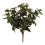 Hedera bundel 40cm premium english ivy bush green groen