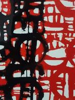 Pietro Fight - Davanti la rete