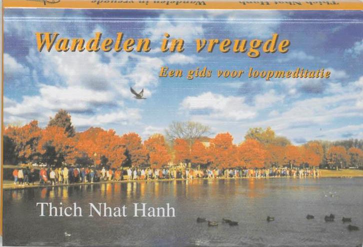 Wandelen in vreugde 9789020276862 Thich Nhat Hanh, Boeken, Esoterie en Spiritualiteit, Gelezen, Verzenden