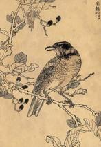Vogels - Bairei hyakuch gafu - 1880 - Papier - Kono Bairei