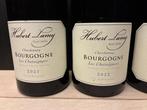2021 & 2022 x 3 Domaine Hubert Lamy Les Chataigniers -, Collections, Vins