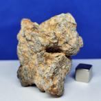 Météorite lunaire XXL GABBRO (breccia fondue). ADRAR 013