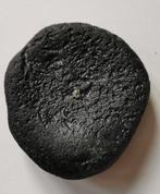 Indochiniet tektiet Tektiet - Hoogte: 90 mm - Breedte: 90 mm