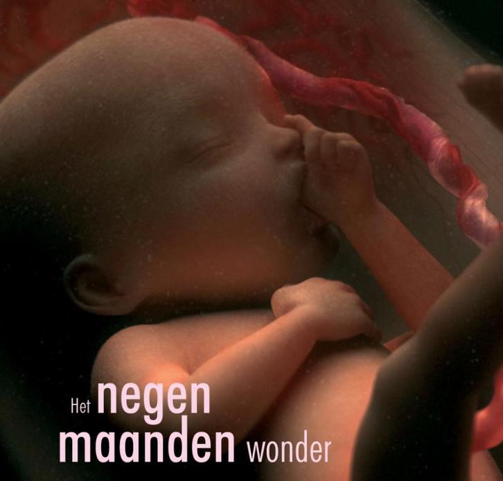 Het negen maanden wonder 9789058976871, Boeken, Techniek, Gelezen, Verzenden